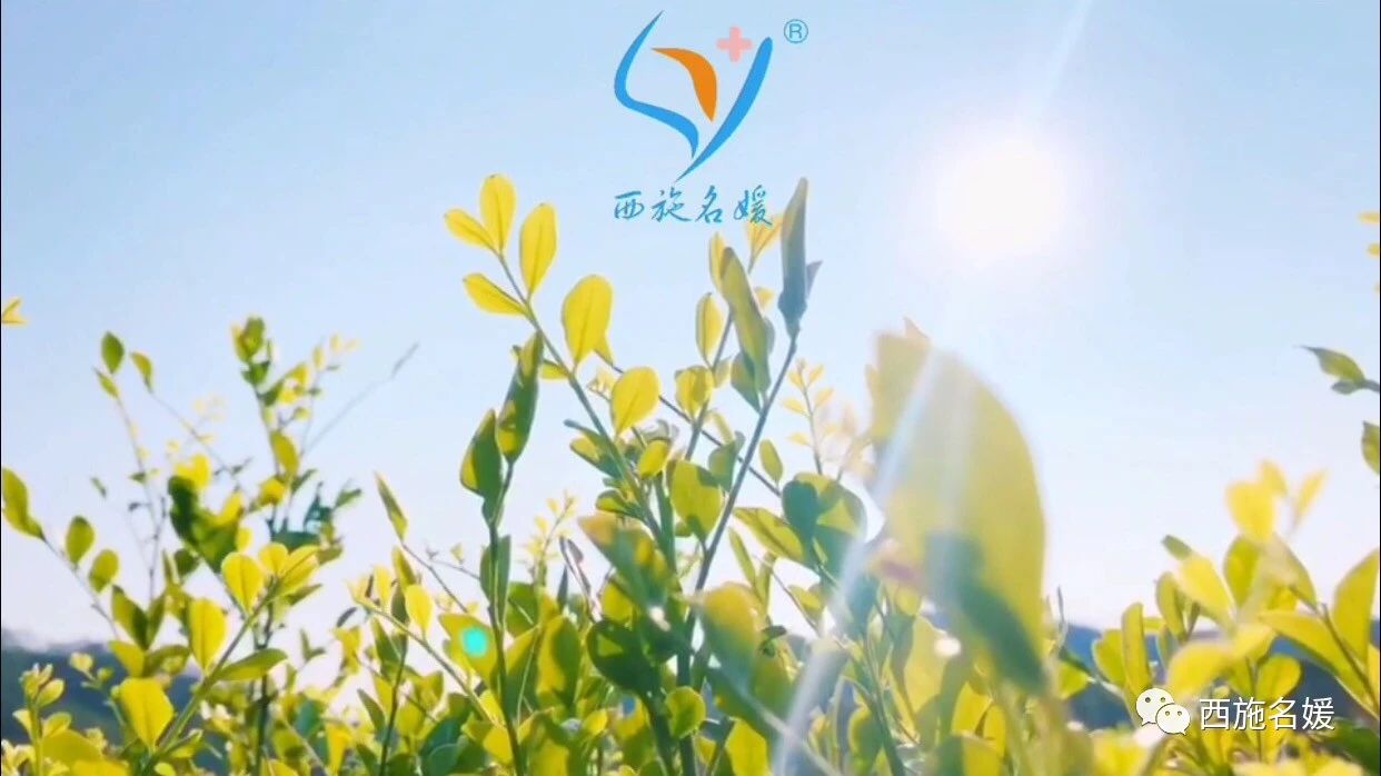 讓我們攜手堅(jiān)持，靜待相逢時(shí)。